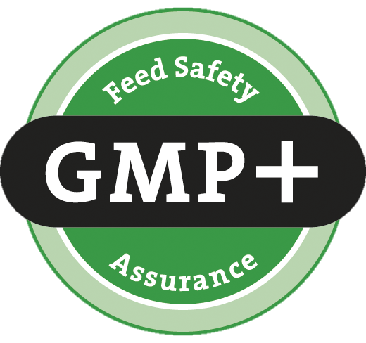 logo gmp